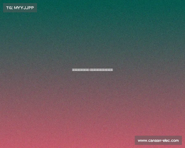 清华大学男篮历史性突破 世界大学生篮球联赛强势跻身四强