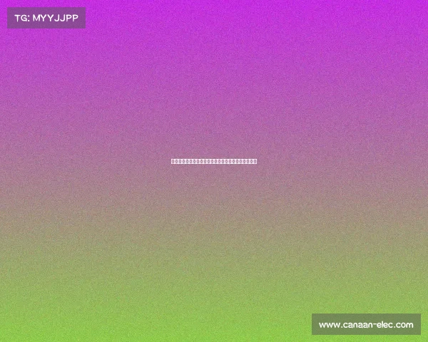 维拉蒂：从天才中场到巴黎圣日耳曼的核心引领者之路