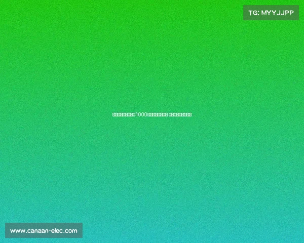 阿斯：民主刚果每年1000万欧助力巴萨四年 推动国家旅游业发展